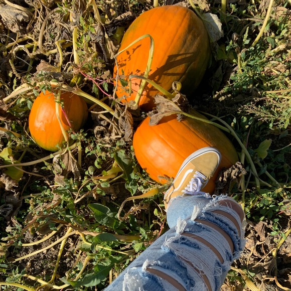 Meet your Posher, Taylor - Picture 1 of 1